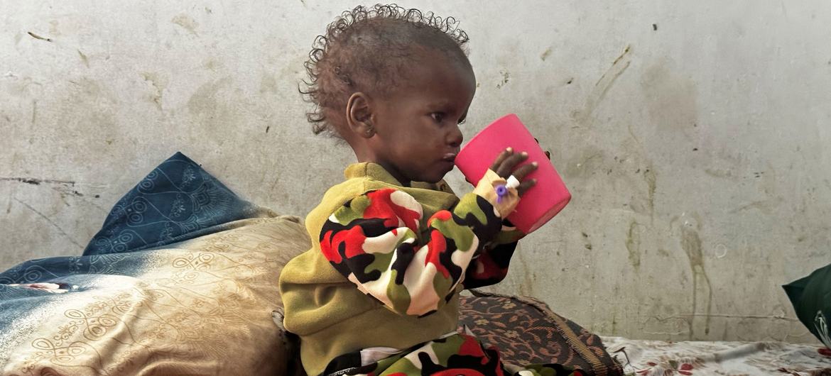 Malnutrition, cholera surge in Sudan as conflict deepens: UN