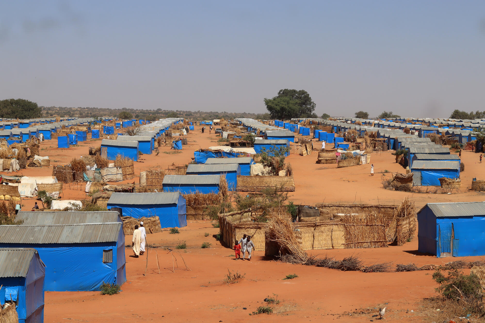 Cholera kills dozens in Chad’s Sudanese refugee camps
