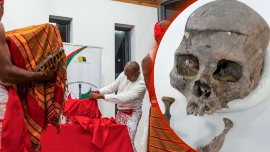 Madagascar receives three Indigenous warrior skulls from France