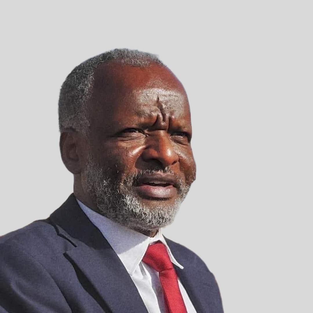 TASIS opened new chapter in Sudan: JEM leader