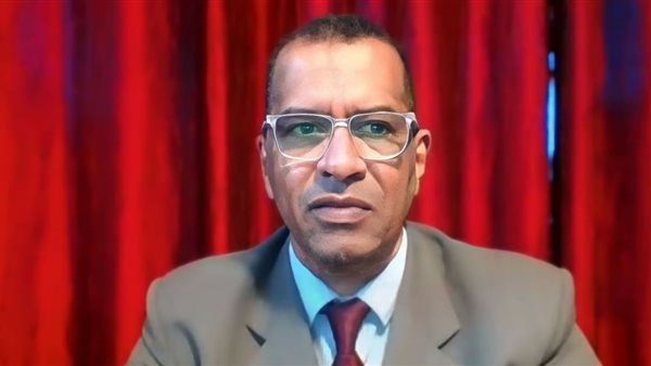 RSF adviser: Aid reaching El Fasher, siege targets SAF only