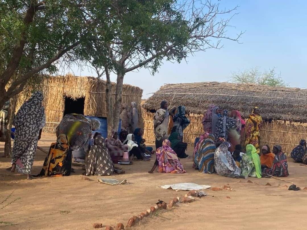 Nyala residents show symptoms of suspected dengue fever