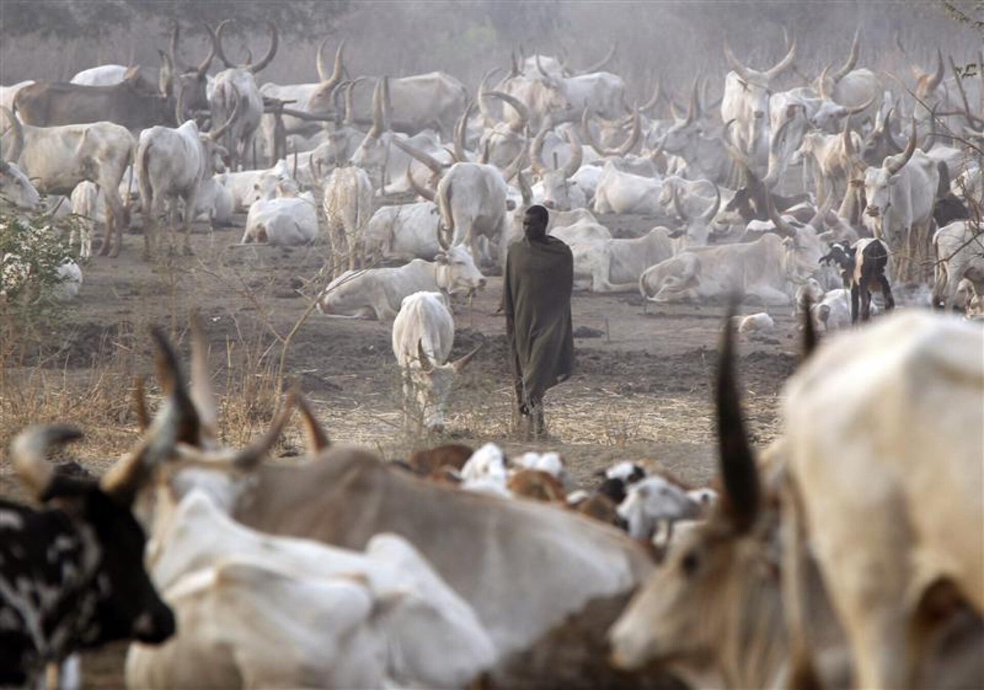 Sudan’s herders’ attacks threaten Kabkabiya’s agricultural season