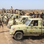 Tasis deploys 7,000 soldiers to protect Darfur crops