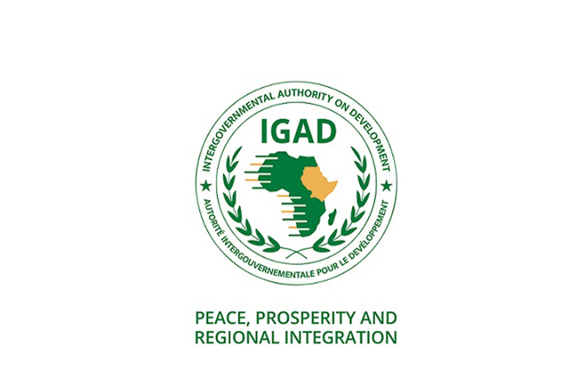 TASIS and IGAD discuss roadmap for lasting Sudan peace