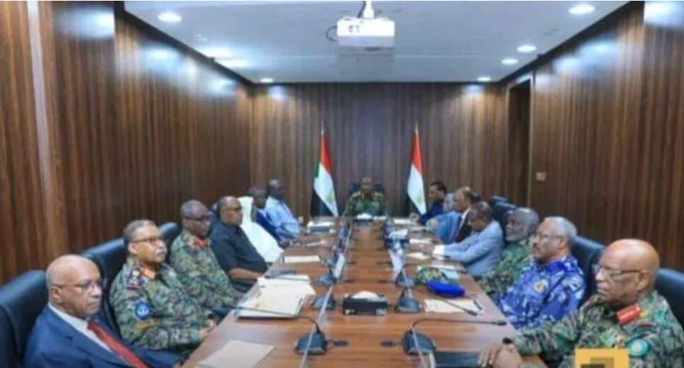 Defence minister resigns amid claims of Brotherhood influence in SAF