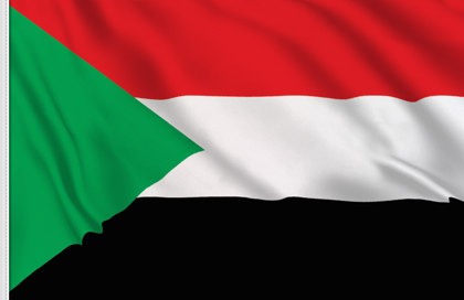 Sudanese in Netherlands elect new leadership amid corruption concerns