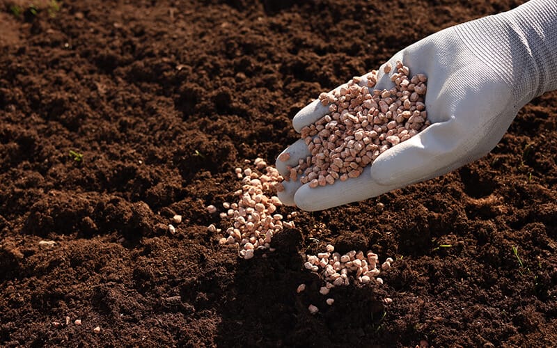 African Export-Import Bank approves $1.3B loan for Angola plant