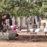 Kordofan civilians endure harsh conditions after fleeing to Nyala
