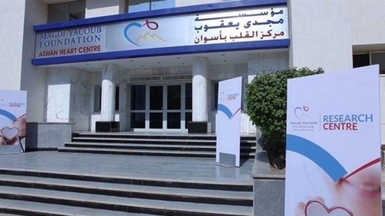 Egyptian minibus driver abandons body and ten injured Sudanese