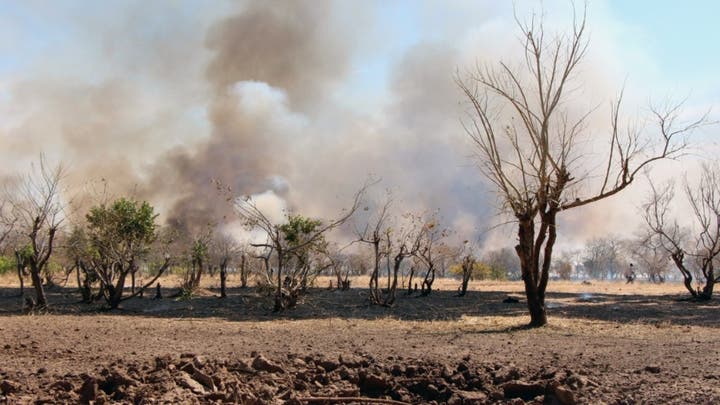 SPLM-N accuses SAF of killing 13 civilians in Kordofan market strike