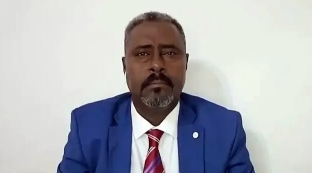 RSF adviser accuses Islamist Movement of infiltration plot