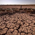 Morocco sees drought end after winter rains refill key dams