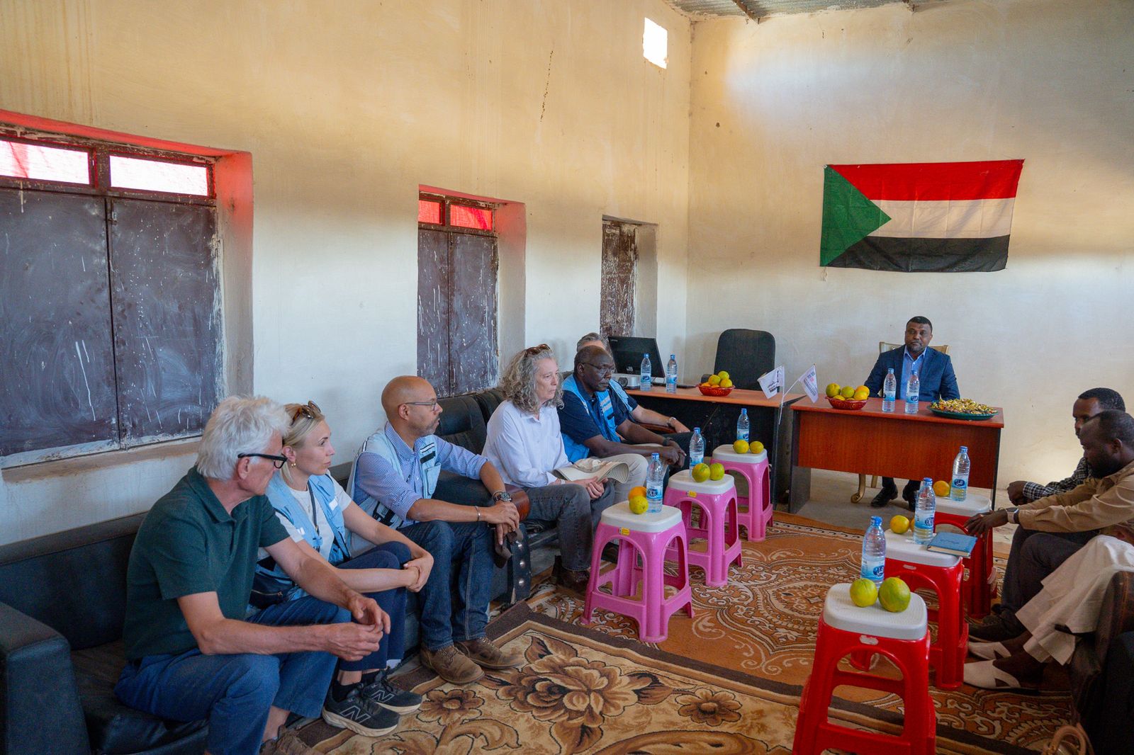 Sudan Peace Government questions UN aid coordinator’s neutrality