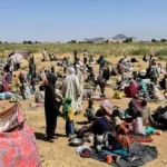 Disinformation targets Berlin Sudan peace conference