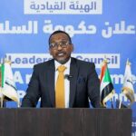 TASIS says 24 killed in  SAF drone strikes in Darfur