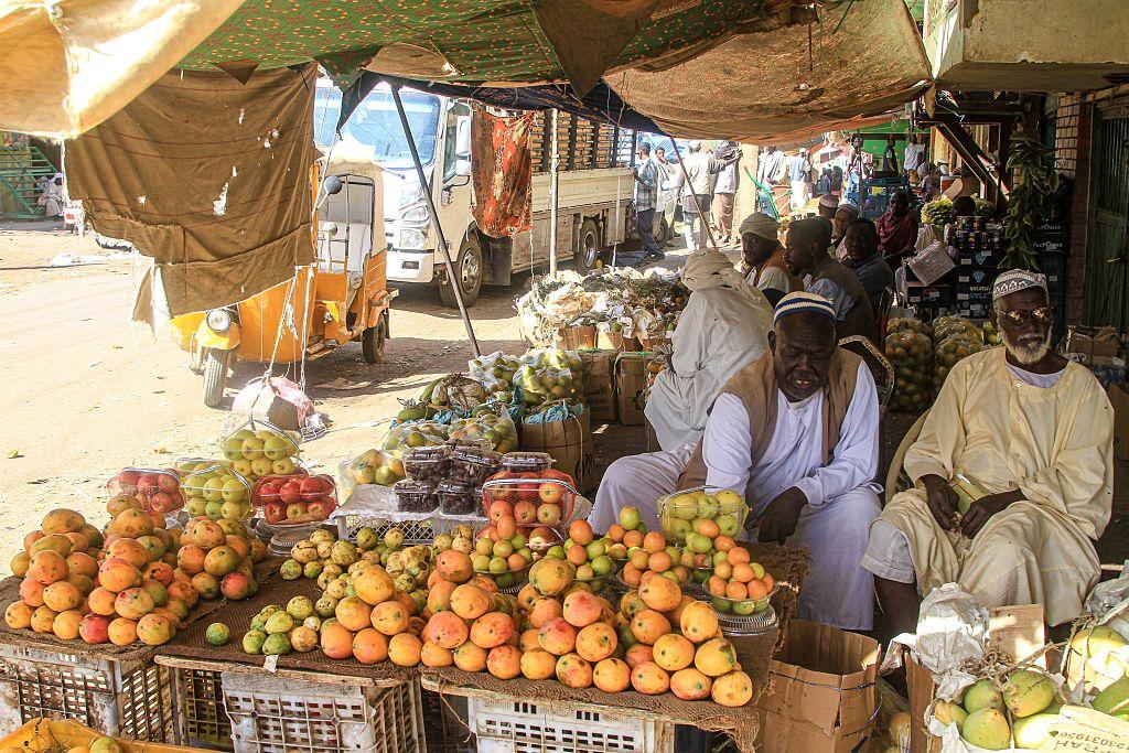 Sudan post-war plan pushes microcredit and 18-month stabilisation