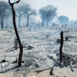 TASIS blames Muslim Brotherhood for Darfur market violence