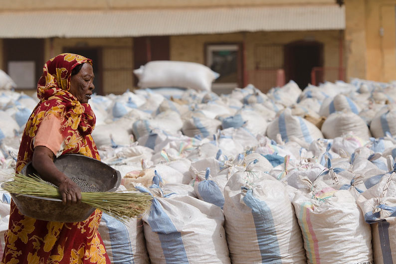 Crop prices fall as imports reshape Sudan markets