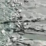 Sudan lake pollution fears rise after mass fish deaths reported