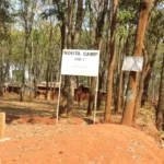 Tanzania closes Nduta camp and repatriates Burundian refugees