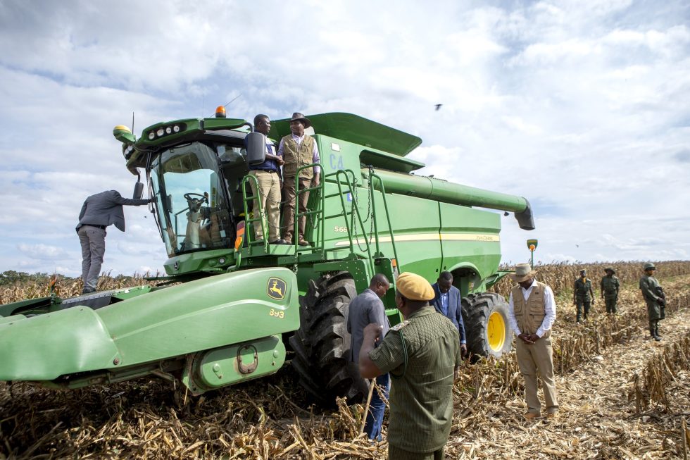 Zambia expects a historic maize harvest of nearly 5 million tons