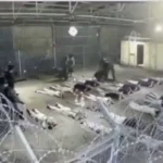 UN blacklists Israeli and Russian forces over sexual abuse