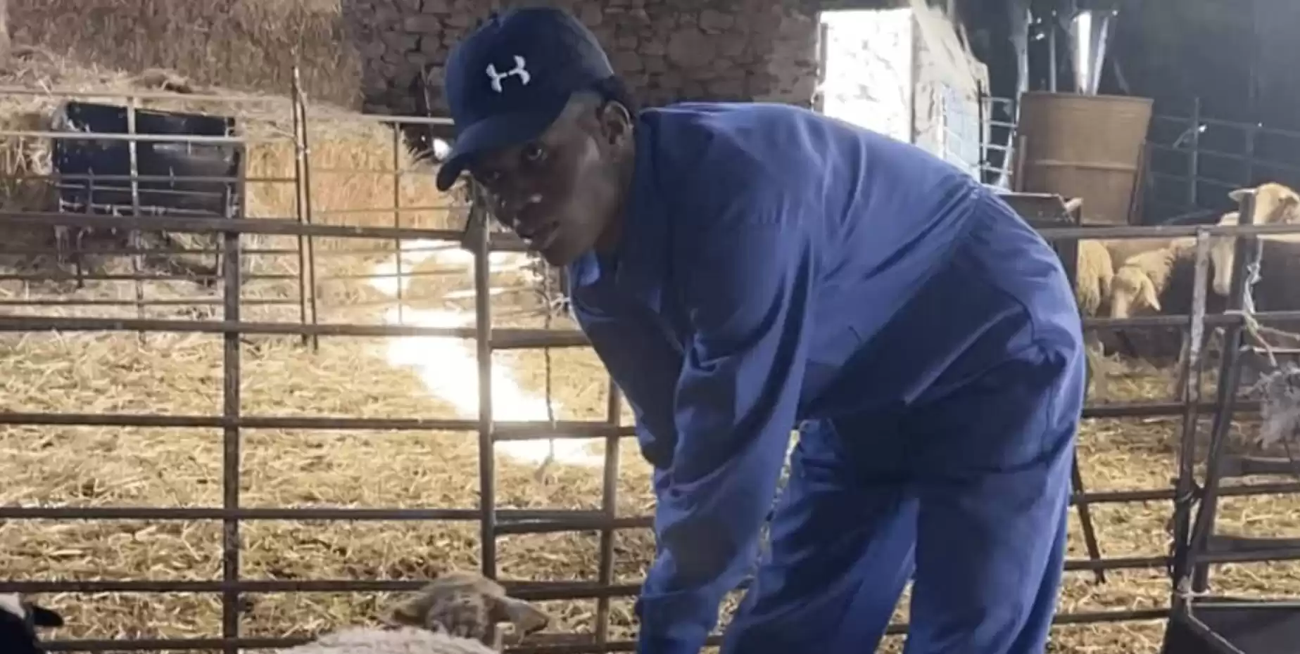 Sudan’s Darfur shepherd builds a new life in rural Spain