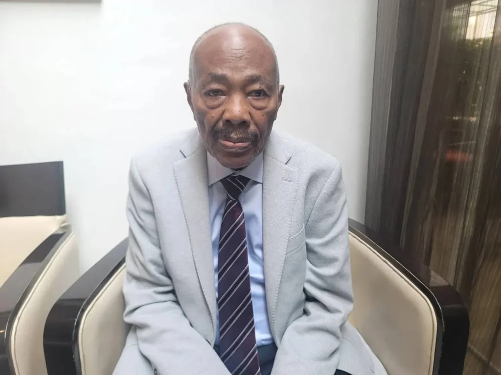 Retired general blames Islamists for starting Sudan war