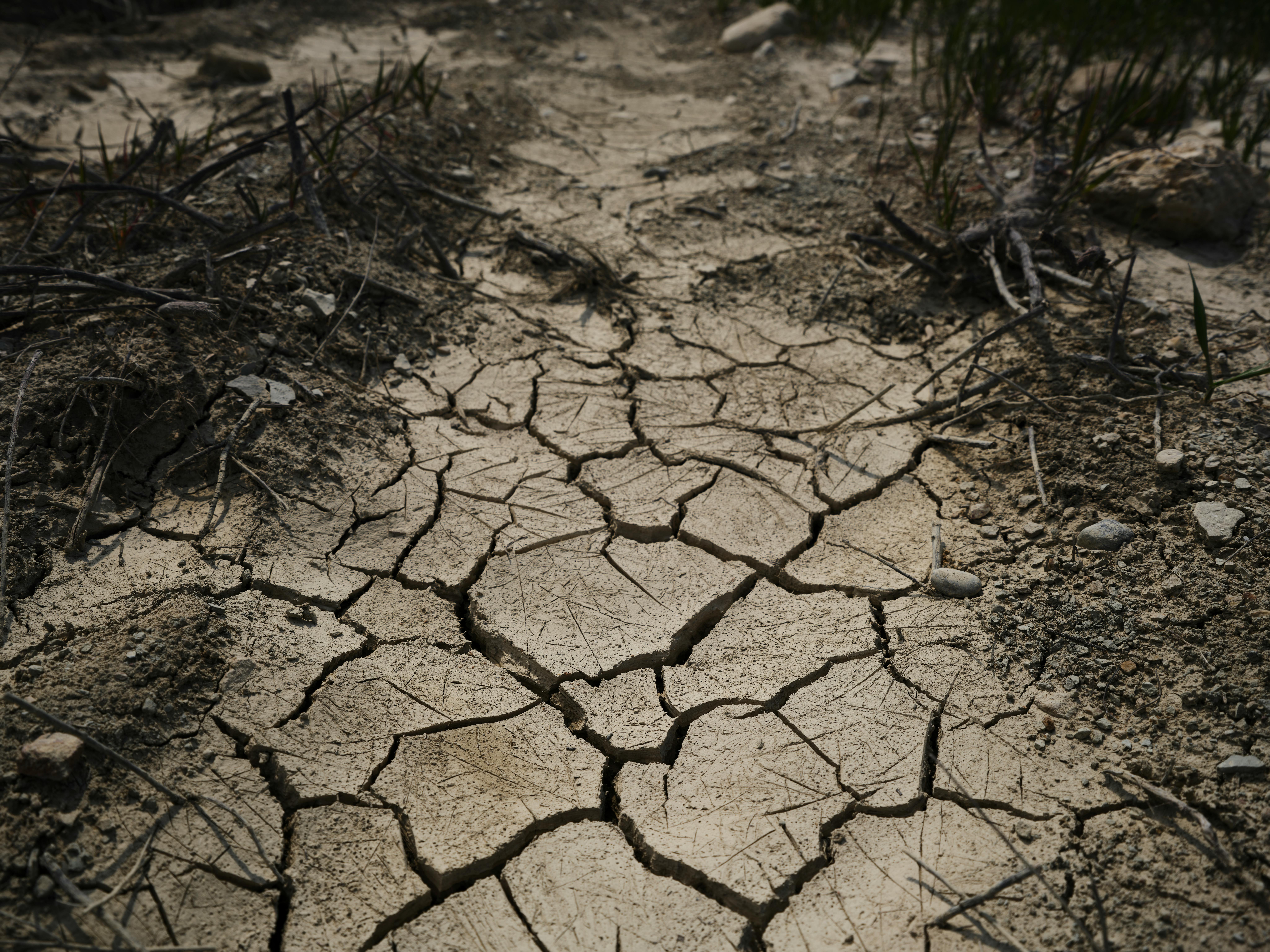 Sudan faces agricultural threat as severe summer drought looms