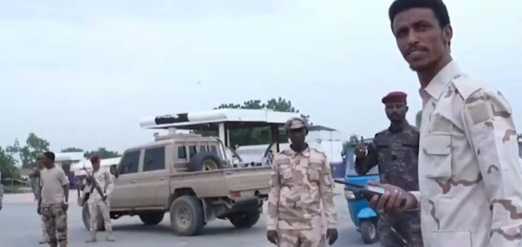 RSF deploys ‘Special Forces’ to tighten security in Nyala