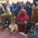 Nigerian forces rescue over 300 hostages in record operation