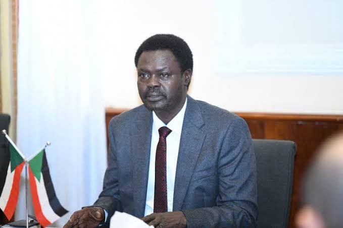 Minawi urges Sudan to end conflict and embrace equal rights