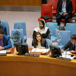 UAE urges nationwide Sudan arms embargo and tougher sanctions