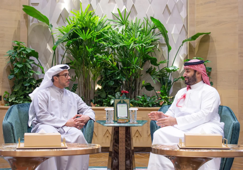 UAE vice president meets Saudi crown prince in Riyadh