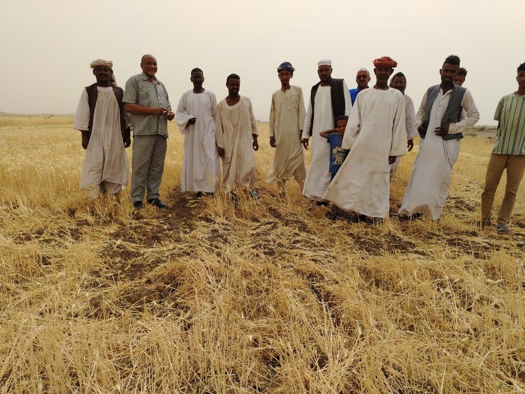 SLM deploys reinforcements to protect Tawila’s harvest