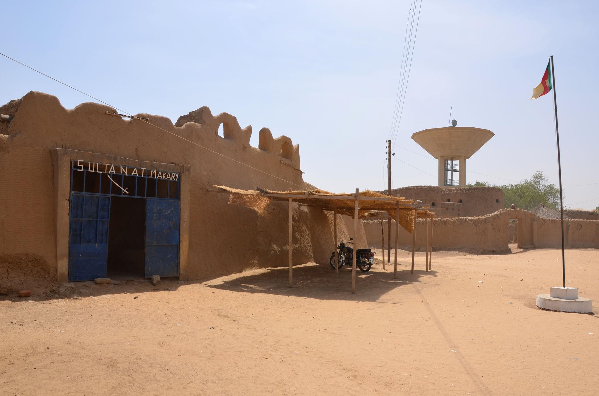 Militants kill 15 in northern Cameroon village attack
