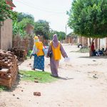 Two women killed in separate incidents in Zalingei