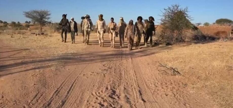 RSF accused of detaining Mahamid herders in Darfur