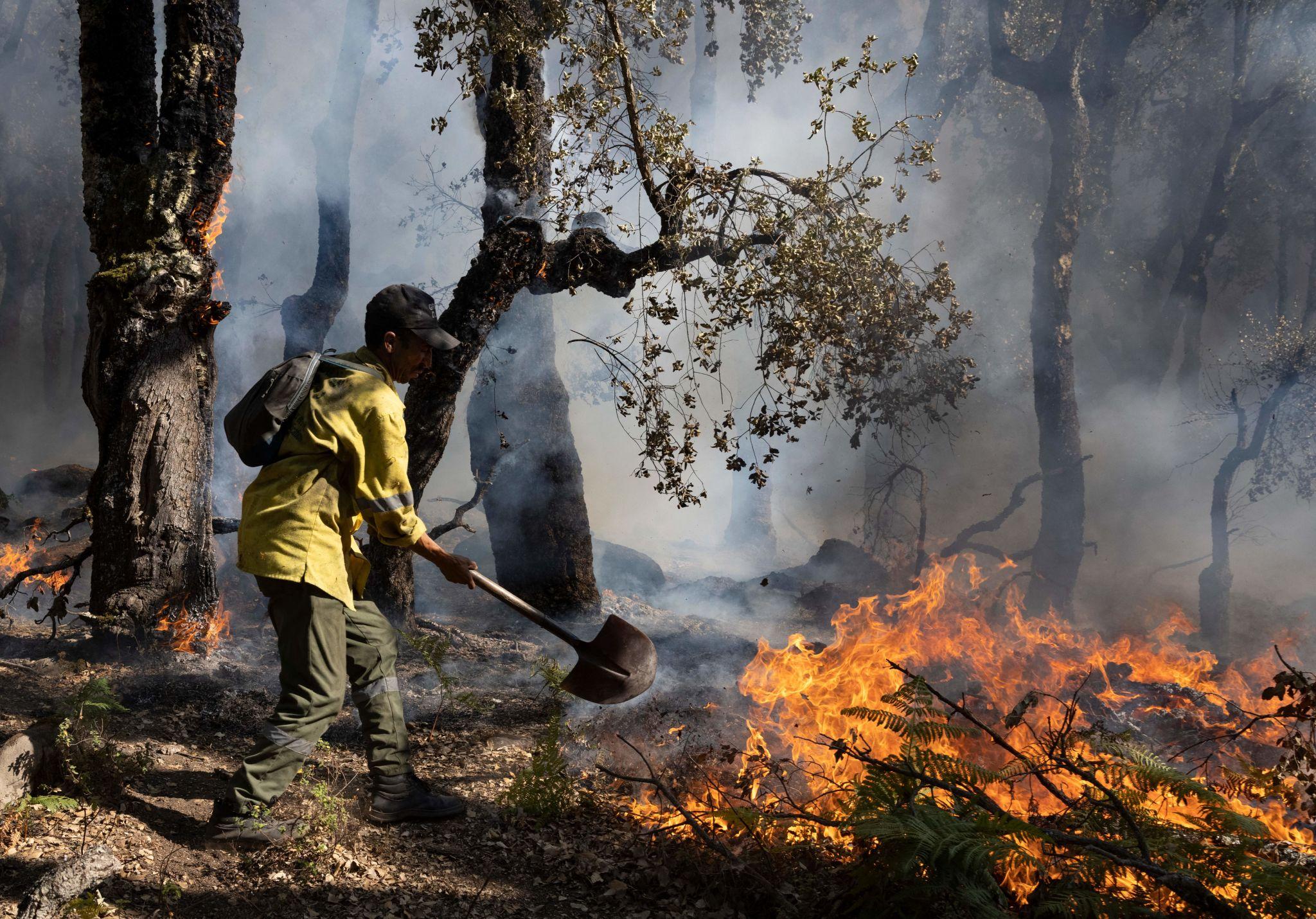 Morocco issues extreme wildfire warnings in six provinces