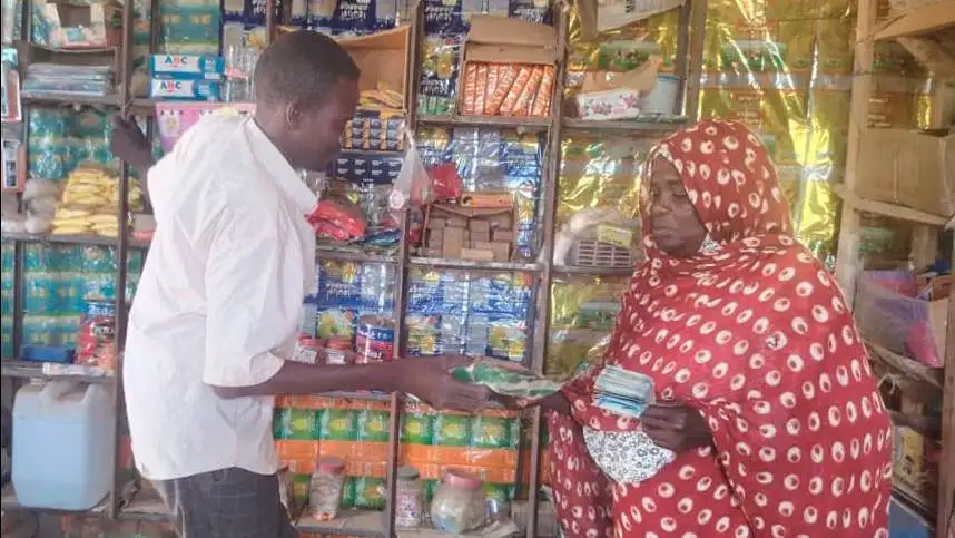 Darfur armed group arrests money-transfer agents in Tawila