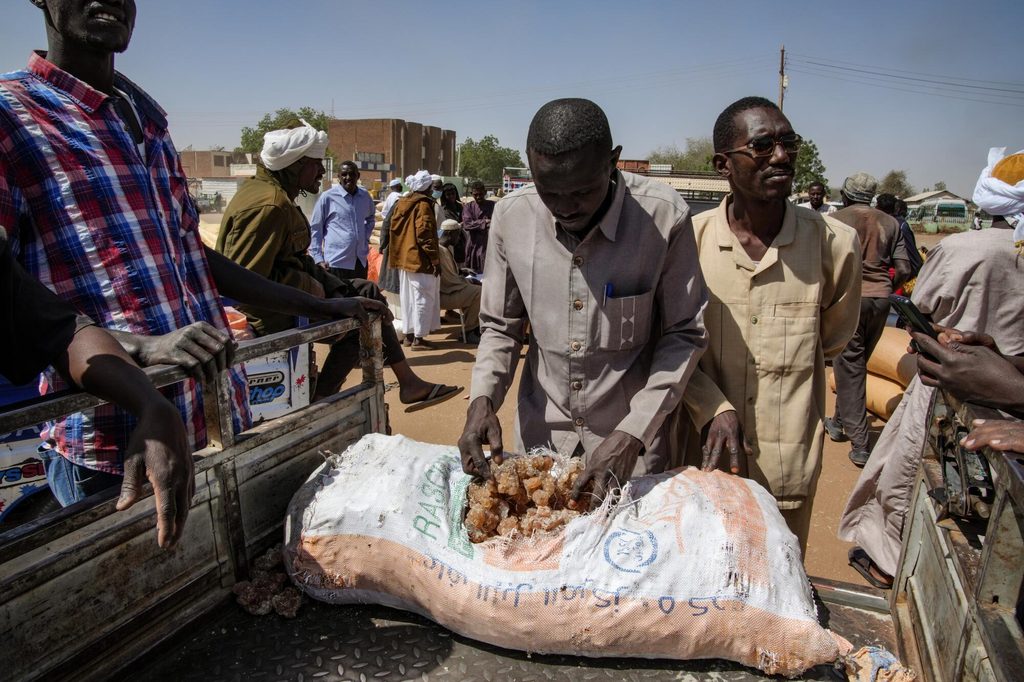 RSF allows gum arabic exports to Chad to resume