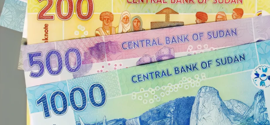 Sudan pound collapse freezes trade at key Chad border market