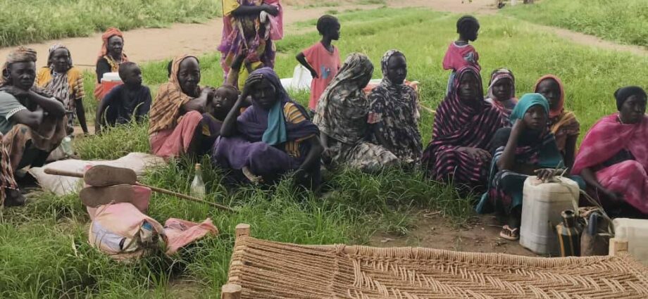 42,000 displaced people face hunger, disease in Blue Nile