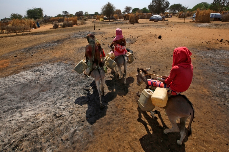 African horse sickness kills 12,000 animals in North Darfur