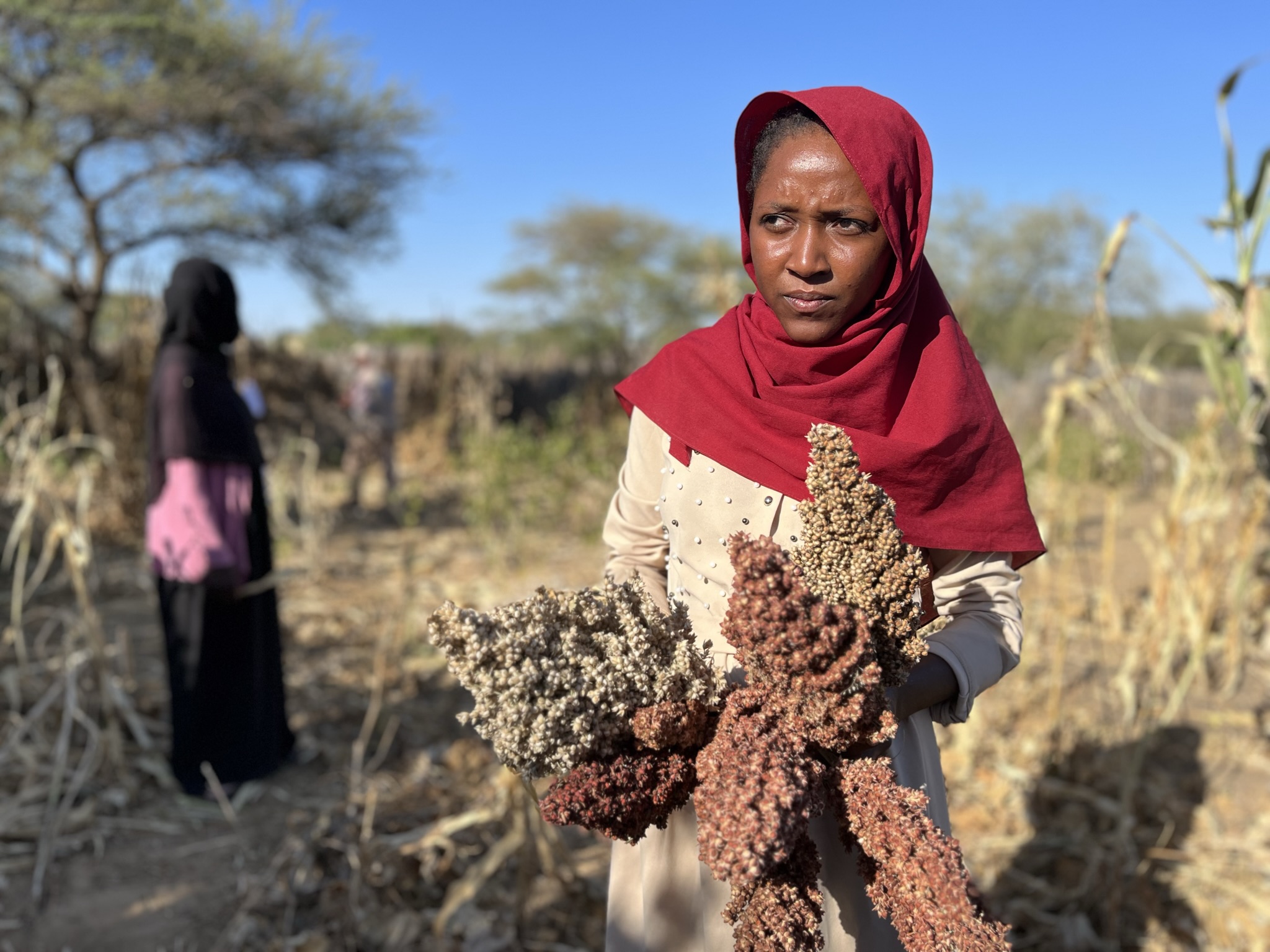 Seven aid agencies warn Sudan faces worsening hunger in 2027