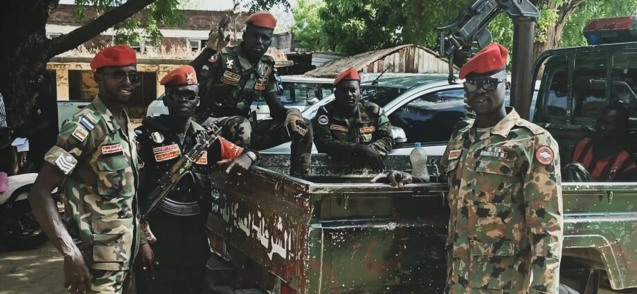 Sudan army-backed forces accused of arbitrary arrests in Blue Nile