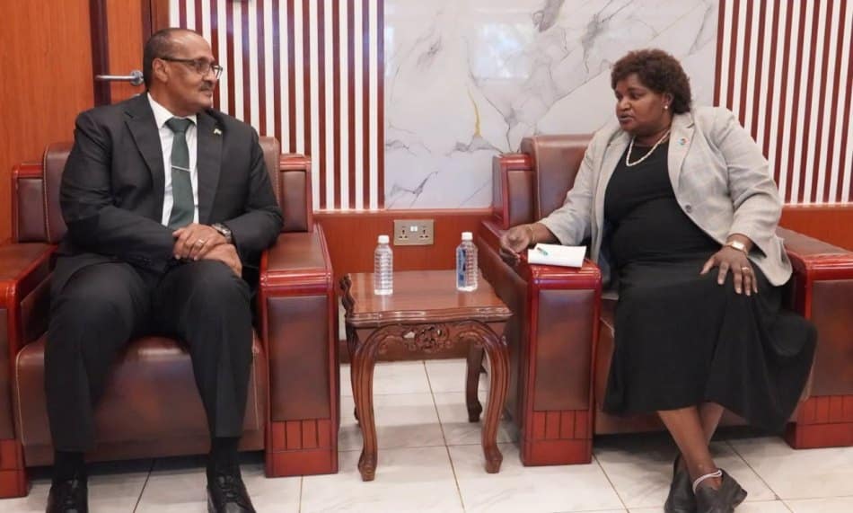South Sudan summons Sudan envoy over deadly Abyei strike