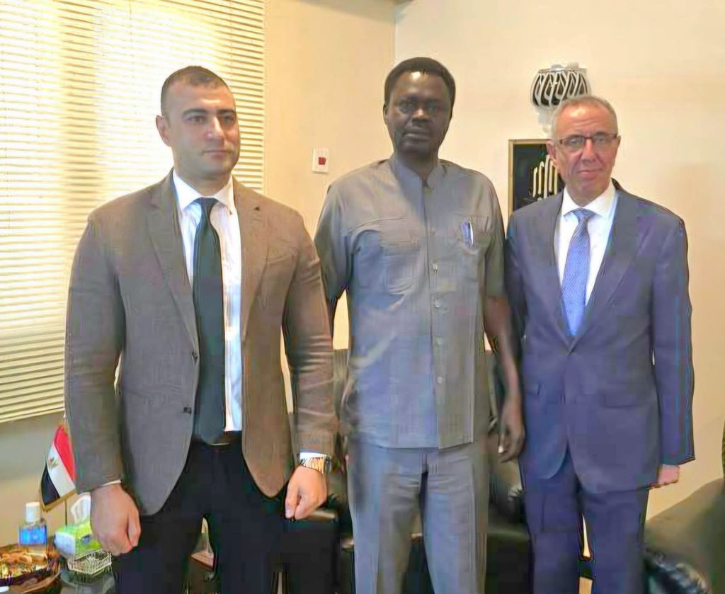 Minnawi says most border strike victims were from Darfur