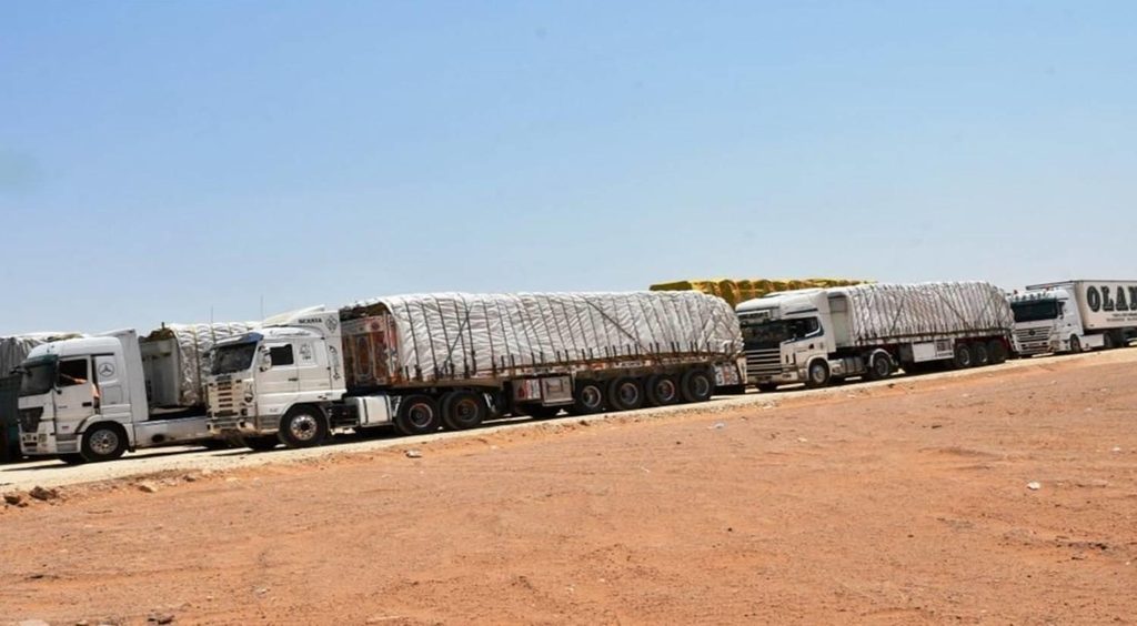 Egypt moves to repatriate drivers killed in Khartoum